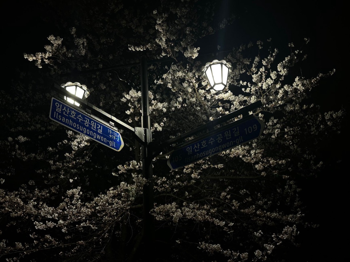 A scenic romantic setting reminiscent of K-drama aesthetics