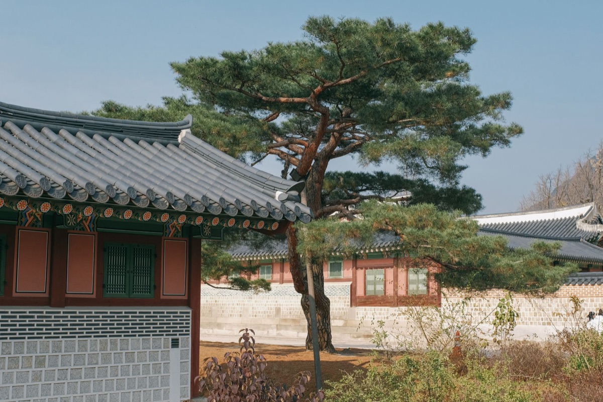 Cenário clássico coreano evocando dramas históricos.