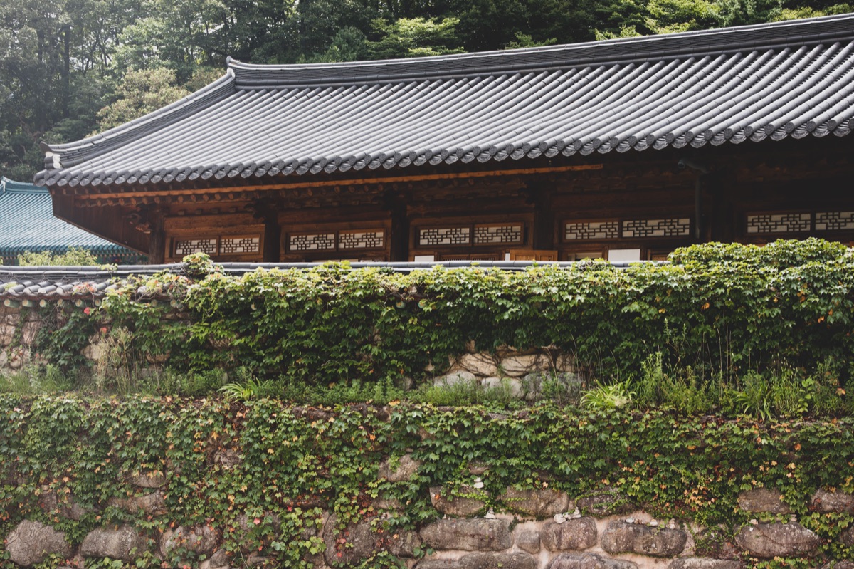 90er korean film set backdrop