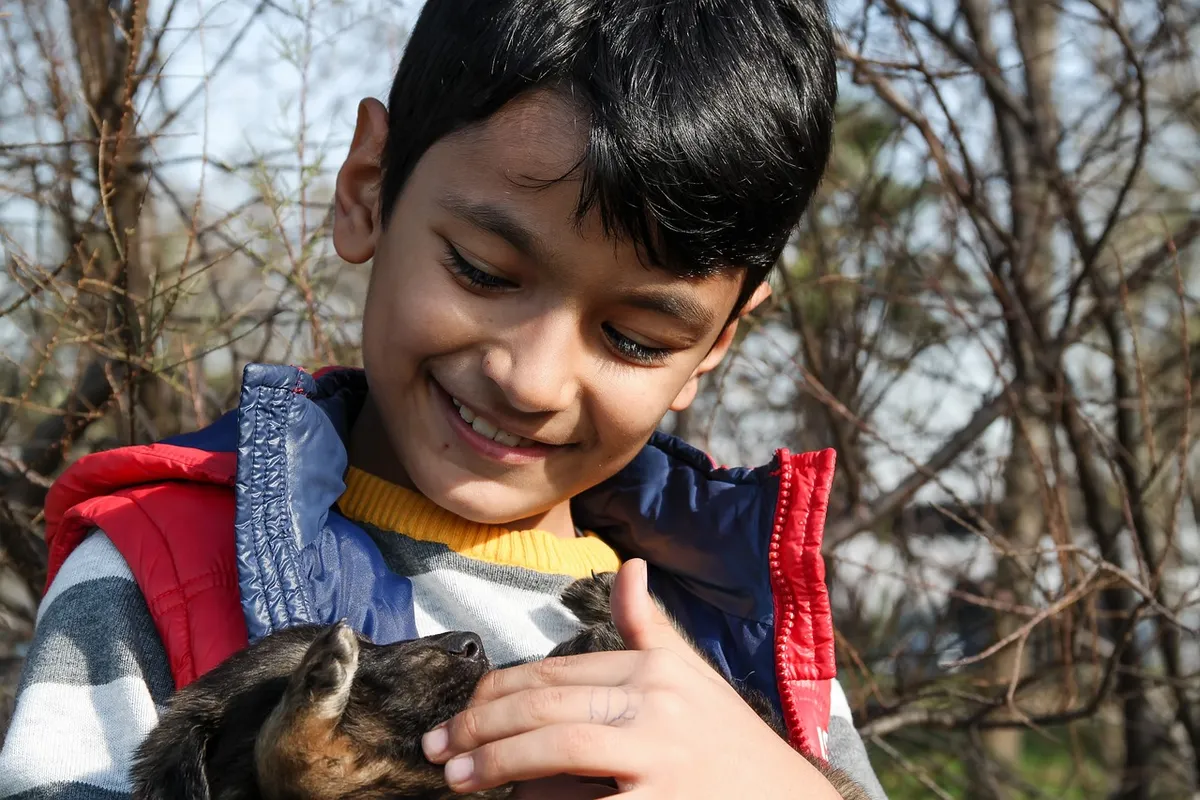 boy and dog, dog, baby, puppy, baby animal, animal, animals, nature, sad boy, pet, street, cute, brown, interesting, dogs, stray dog, curly, feather, haired, ey