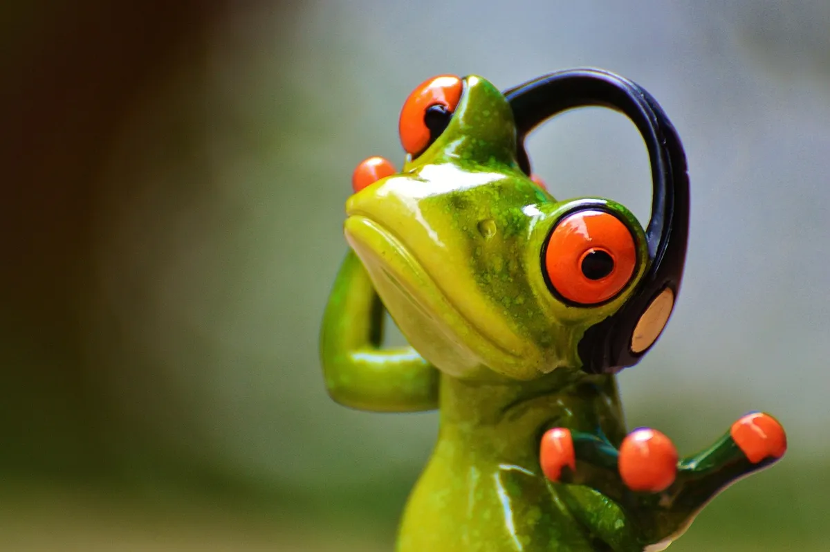 frogs, headphones, music, to dance, pose, photographer, taking photos, camera, photo shoot, fun, frog, animal, figure, nature, cute