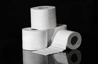 Como o legado dos artistas experientes molda o futuro?